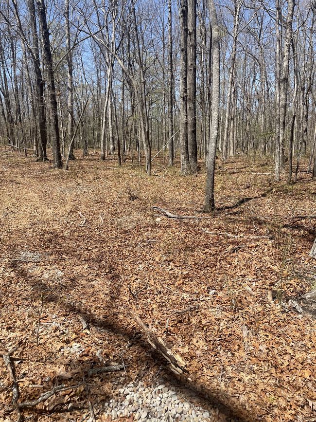 0 Quintard Rd, Home with 0 bedrooms, 0 bathrooms and null parking in Sewanee TN | Image 7