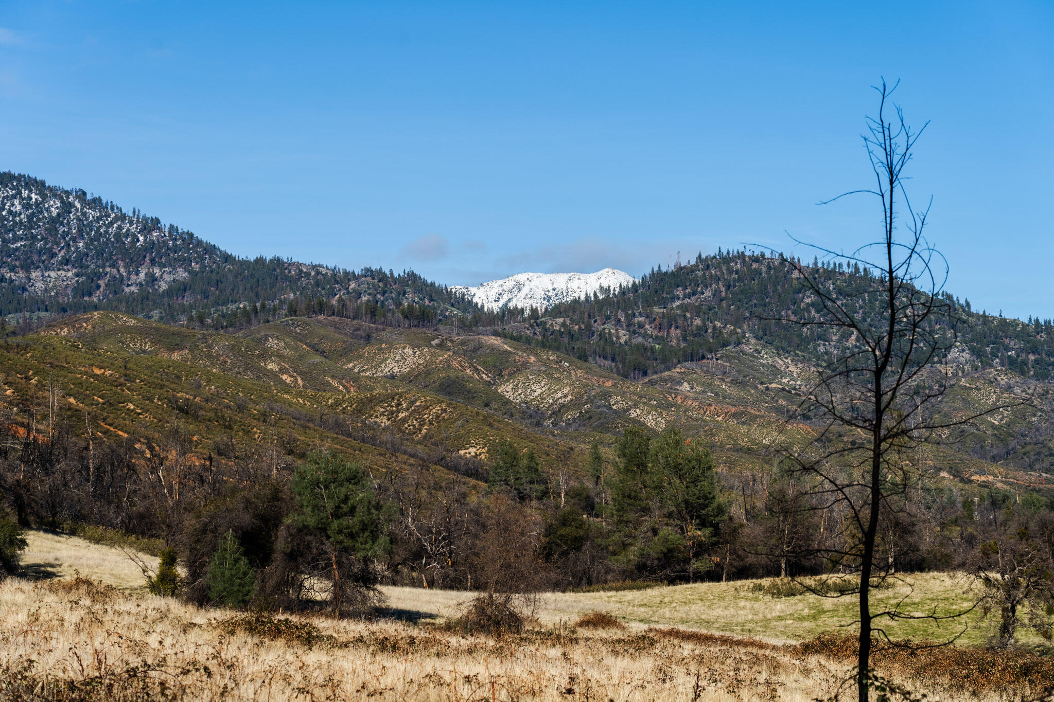 Land in Igo 5