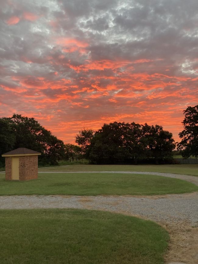Sunrise | Image 5