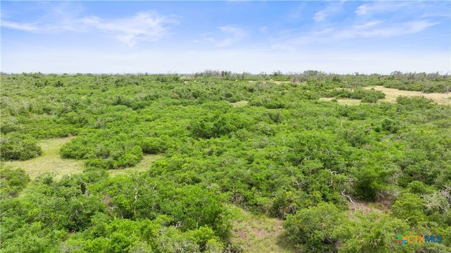 3049 Reservation Rd, Home with 0 bedrooms, 0 bathrooms and null parking in Harper TX | Image 9