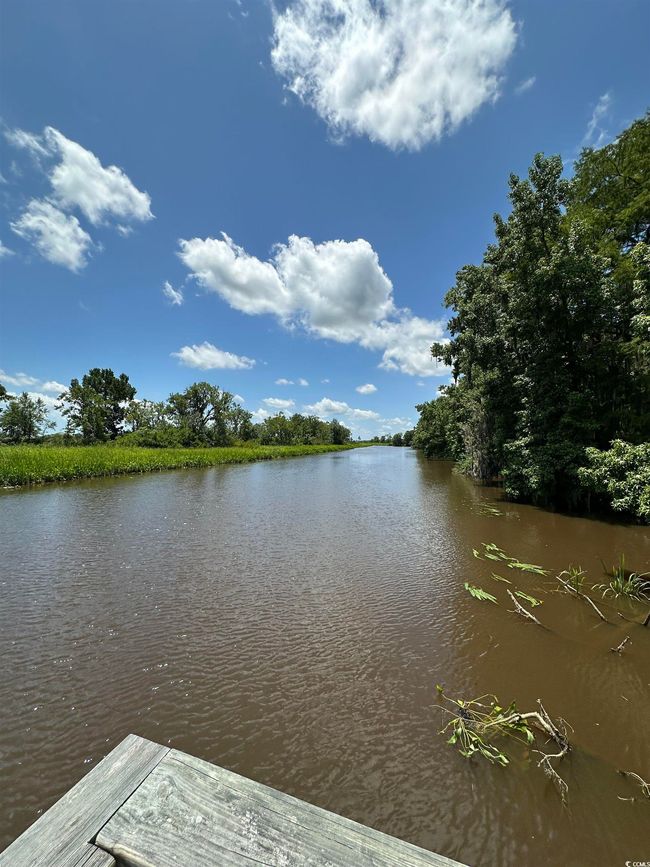 218 Samworth Loop, Home with 0 bedrooms, 0 bathrooms and null parking in Georgetown SC | Image 15