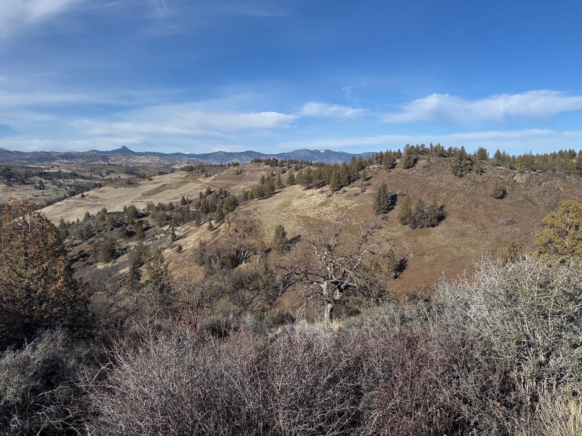Land in Montague 5