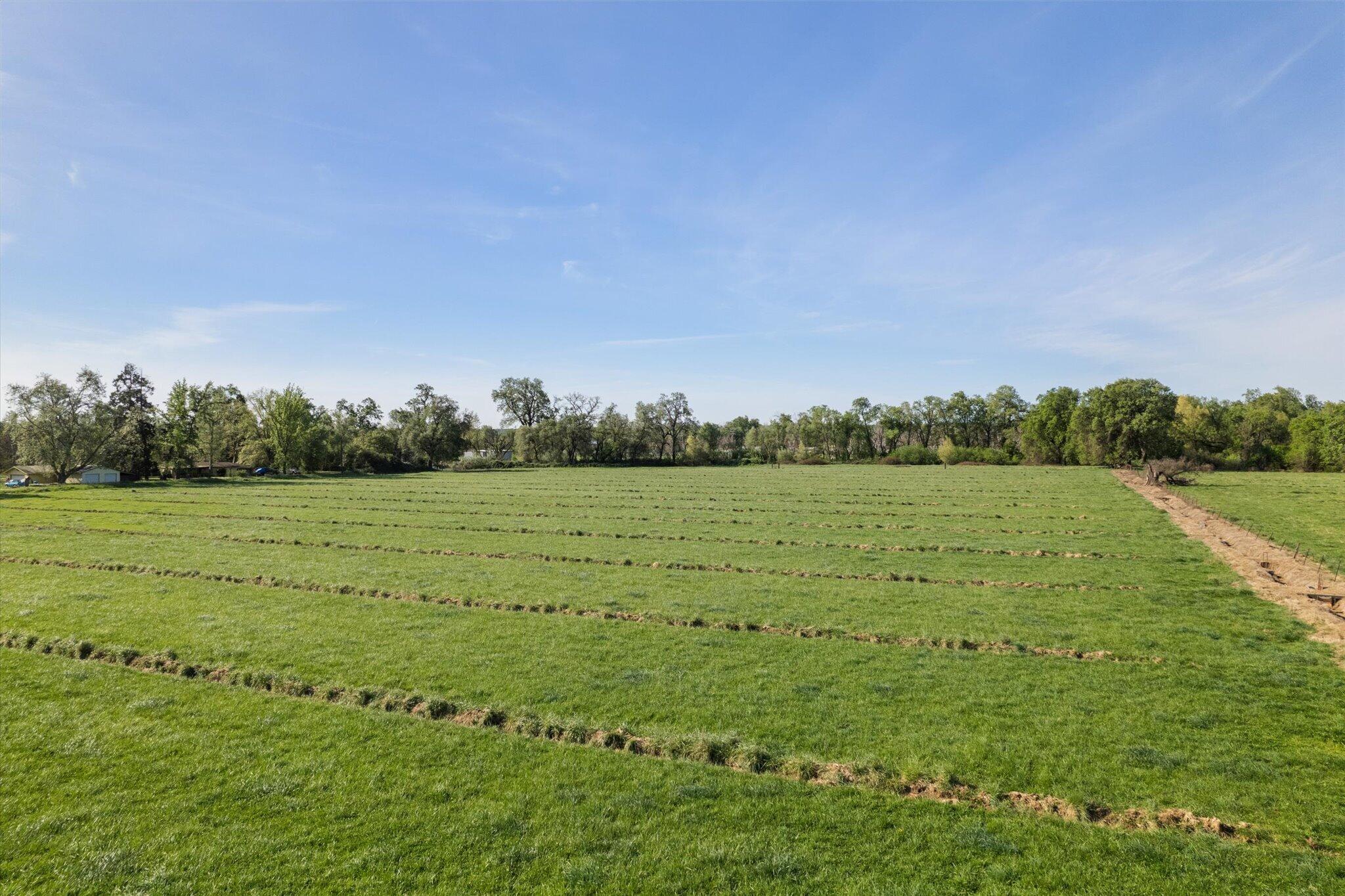 Land in Anderson 2
