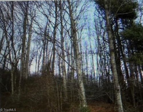 TBD Tony Holder Rd, Lowgap, NC, 27024 | Card Image