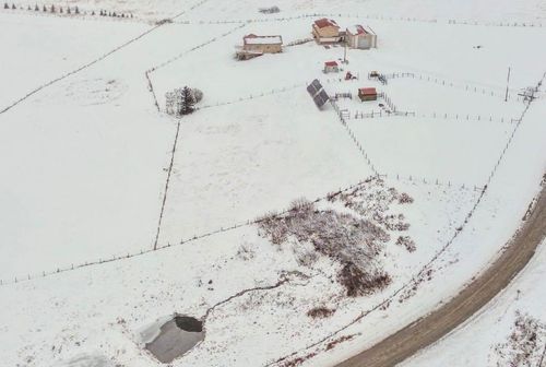 {{alt}} | Card Image