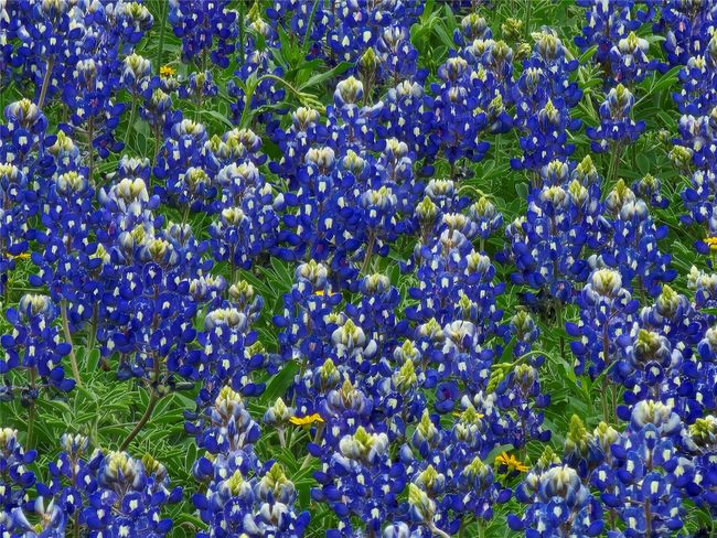 Unexplainable beauty everytime you walk out the door! Great photo ops with family and friends! | Image 12