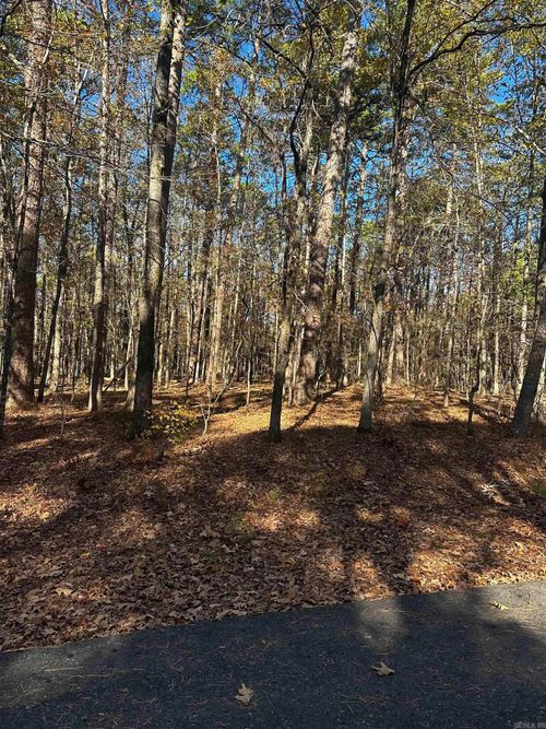 4 Holgar Ln, Hot Springs Village, AR, 71909-5116 | Card Image