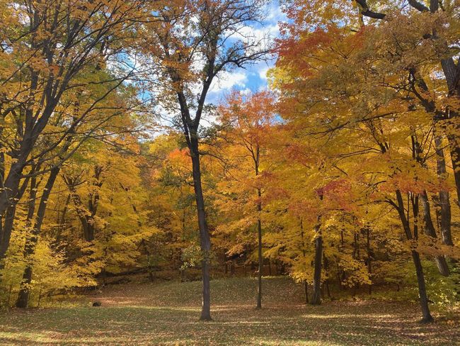 Gorgeous Fall Colors | Image 29