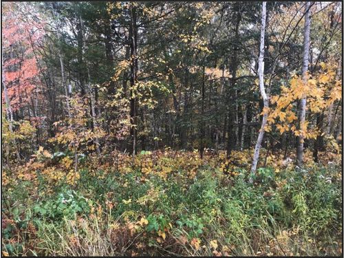 Lot 113 162nd Avenue, APPLE RIVER, WI, 54810 | Card Image