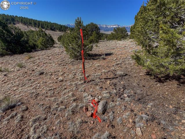 Land in Westcliffe 5