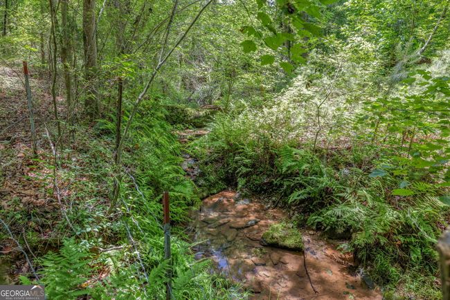 177 E Silver Shoals Rd, House other with 3 bedrooms, 2 bathrooms and null parking in Toccoa GA | Image 45