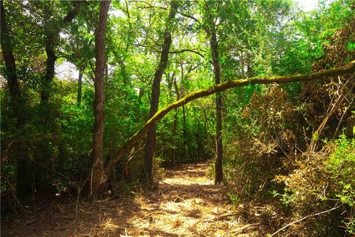 20 Red Hill Road Countyroad, Calvert, TX, 77859 | Card Image