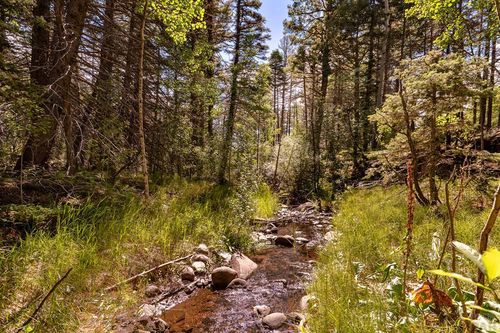 000 County Road 46, Aguilar, CO, 81020 | Card Image