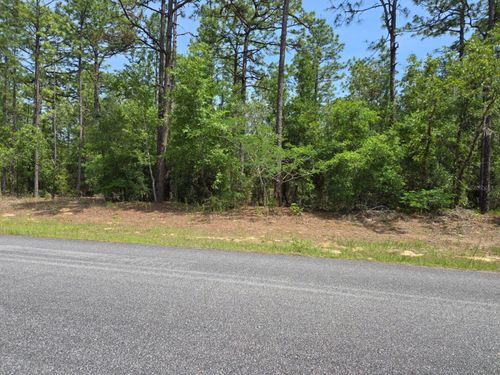 1795 W Thumper Dr, Citrus Springs, FL, 34434 | Card Image