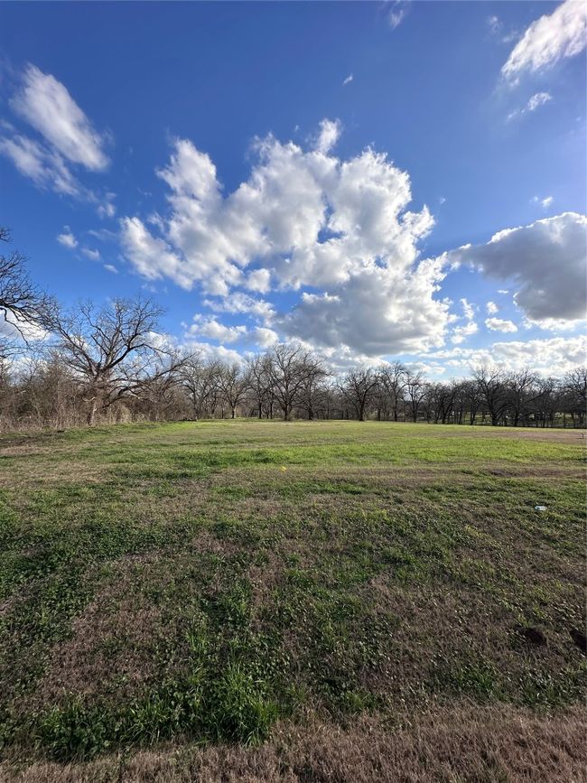 View of yard featuring a rural view | Image 5