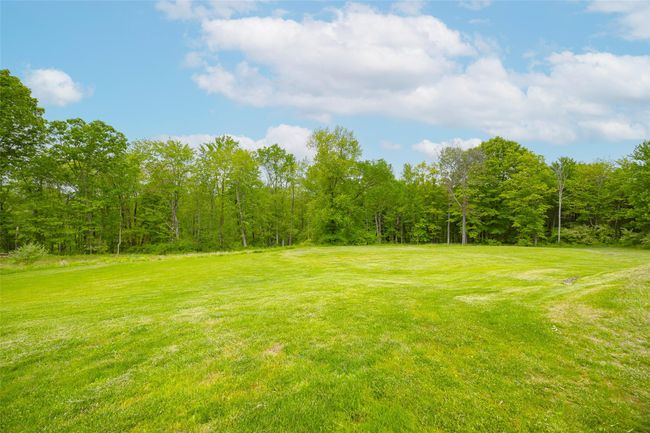 View of green lawn | Image 29