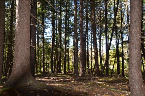 00 York Dr, Waitsfield, VT, 05673 | Card Image