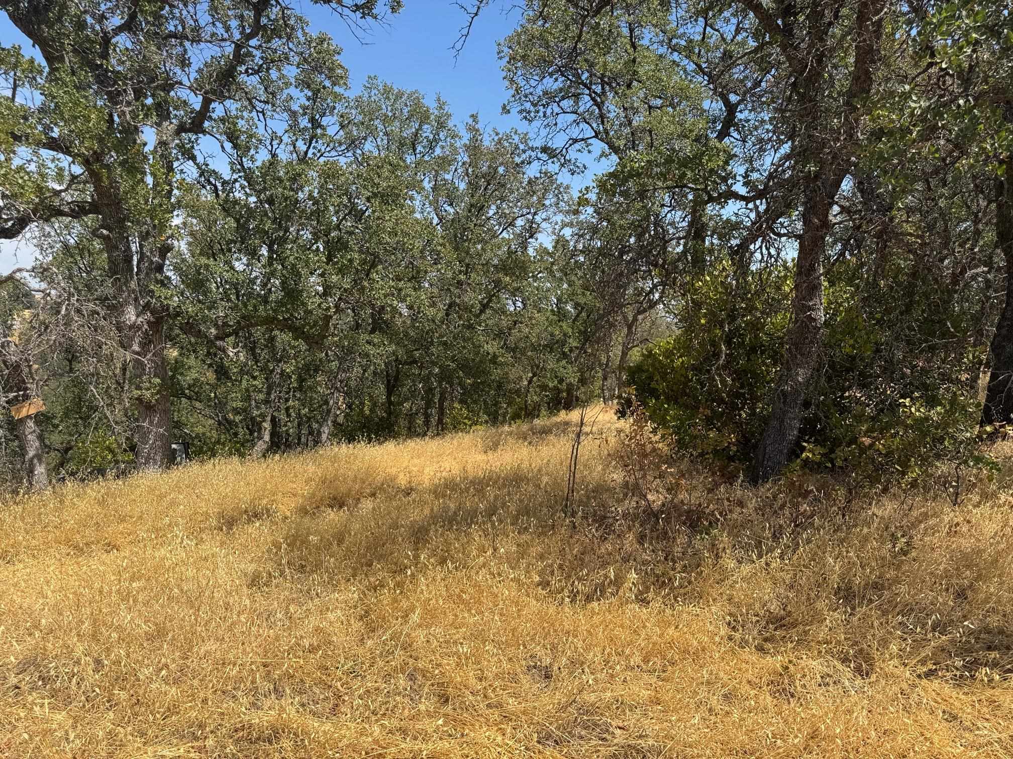 Land in Corning 3