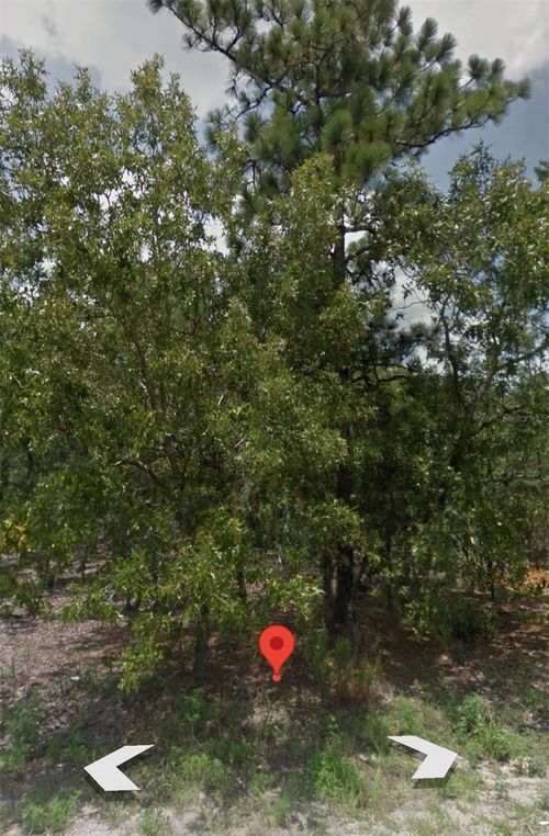 12 Spring Pl, OCALA, FL, 34472-2933 | Card Image