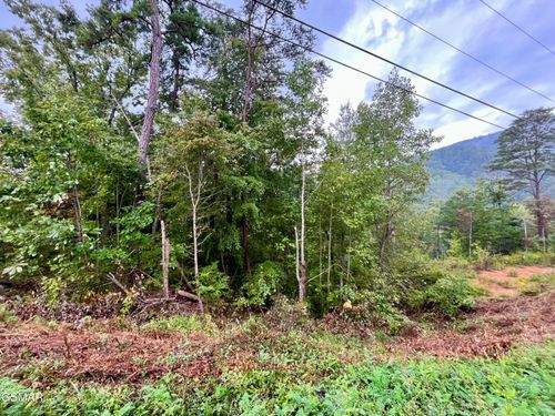 1727 Bluff Ridge Rd, Sevierville, TN, 37876-2682 | Card Image