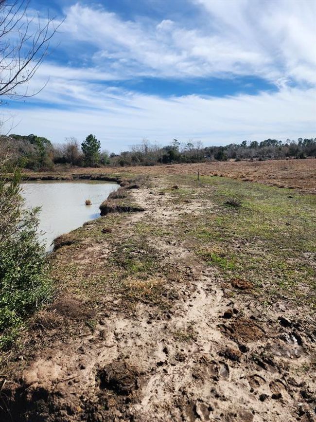 1083 County Road 147, House other with 3 bedrooms, 2 bathrooms and 2 parking in Alvin TX | Image 33