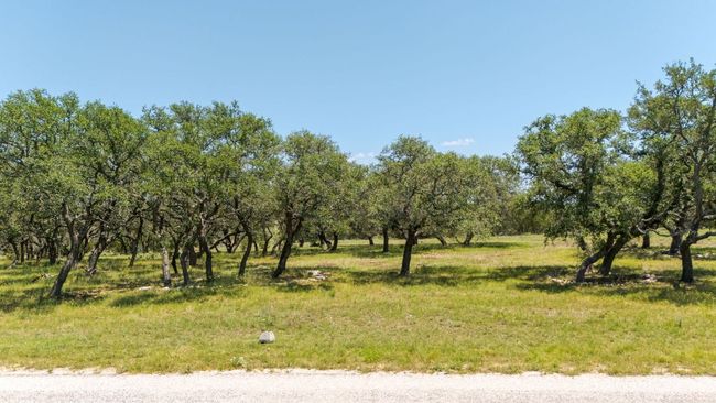 View of local wilderness | Image 4