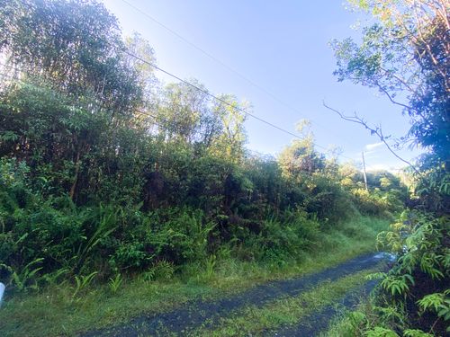 18-1259 Kauai St, MOUNTAIN VIEW, HI, 96771 | Card Image