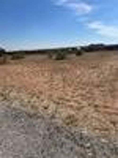 166 Augusta Cir, Snyder, TX, 79549-1187 | Card Image