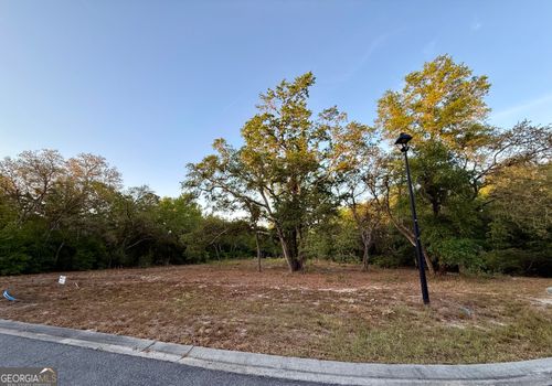 6005 & 6007 Tree Top Ln, Blackshear, GA, 31516-4748 | Card Image