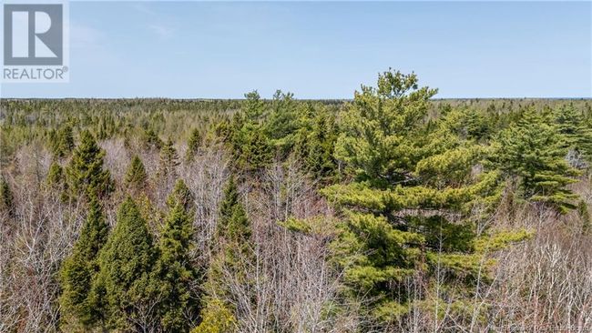 1387 Bells Mills Rd, Home with 0 bedrooms, 0 bathrooms and null parking in Richibouctou-Village NB | Image 25