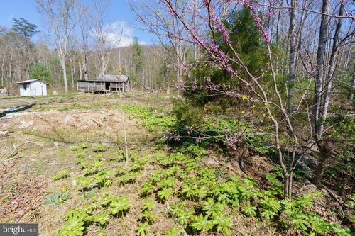 3336 Wolf Gap Rd, EDINBURG, VA, 22824-2602 | Card Image