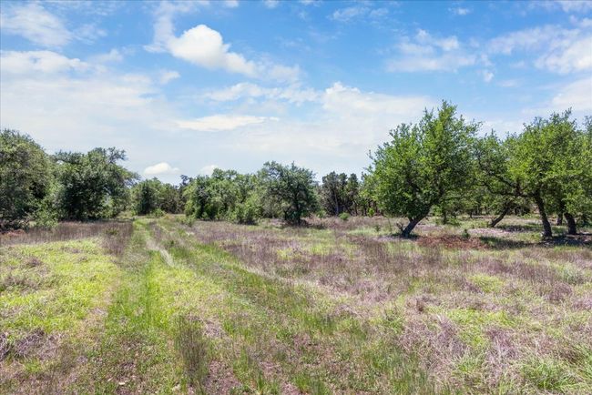 The back section of property has been natural and full of potential | Image 15