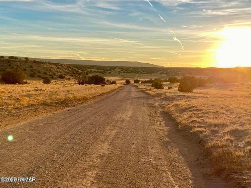 Woodland Valley Ranch Lot 902, St. Johns, AZ, 85936 | Card Image