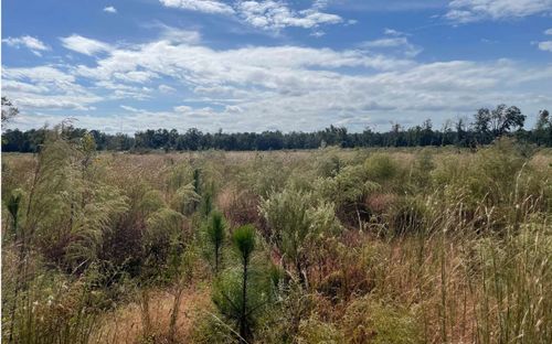 TBD 105th Rd, Mc Alpin, FL, 32062 | Card Image