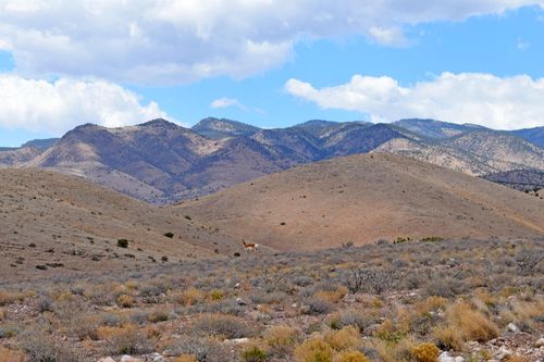 Lot 7 Painted Horse Road, San Antonio, NM, 87832 | Card Image