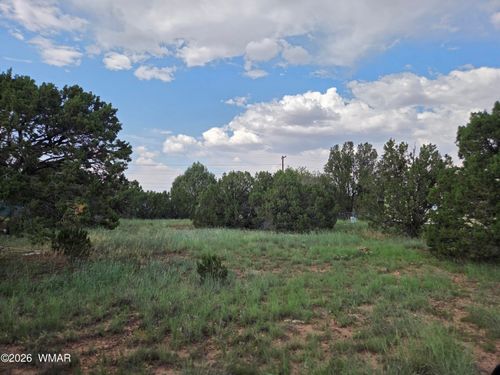 8442 Cochise Cir, Show Low, AZ, 85901-7000 | Card Image