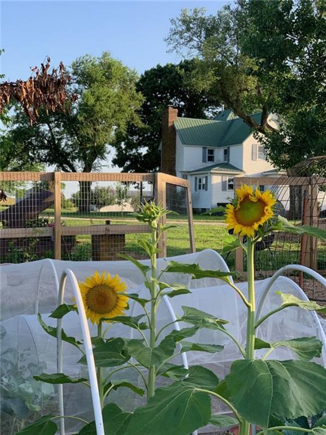 25367 Stelling Rd, House other with 3 bedrooms, 2 bathrooms and null parking in Mora MO | Image 41