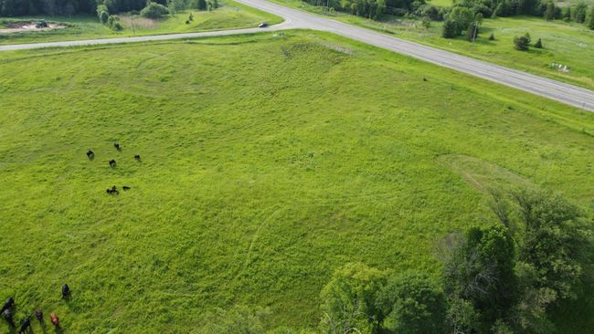 DJI_0555.JPG | Image 8