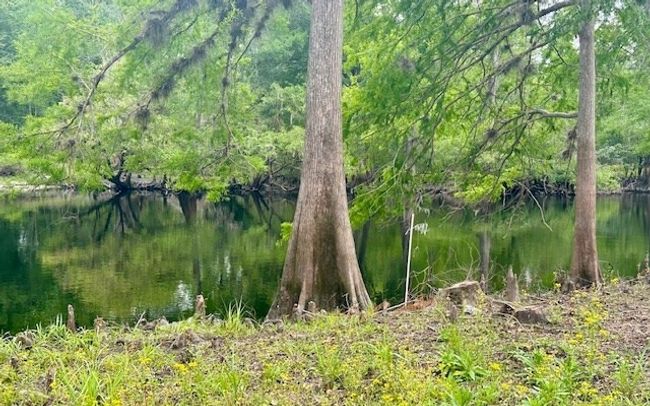 0 Ne 22 Nd Ct, Home with 0 bedrooms, 0 bathrooms and null parking in BRANFORD FL | Image 9
