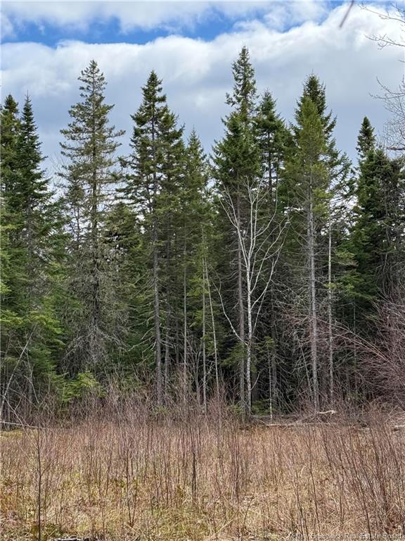 Land in Saint-Paul 2