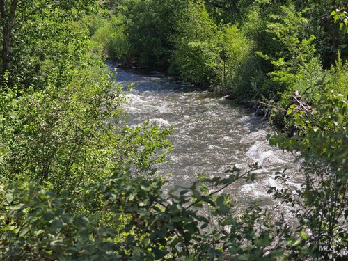 TBD Middle Fork Rd, Council, ID, 83612 | Card Image