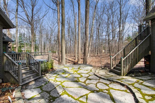 Wooded views | Image 44