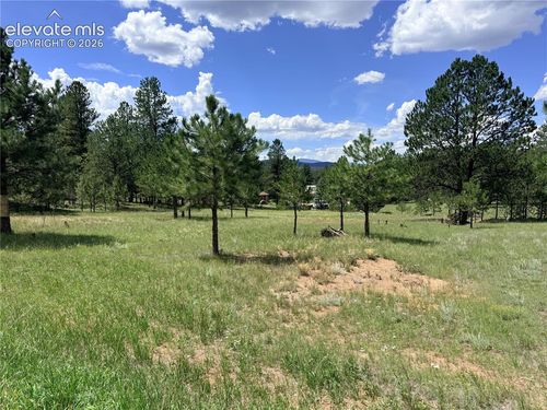 189 Rhyolite Ln, Florissant, CO, 80816-9357 | Card Image