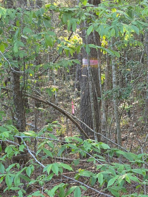 TBD Pacel# 130757 Us Highway 190 W, Pointblank, TX, 77364 | Card Image