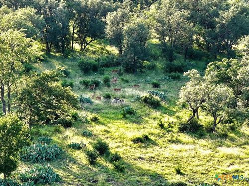 4 County Road 220, Briggs, TX, 78608 | Card Image