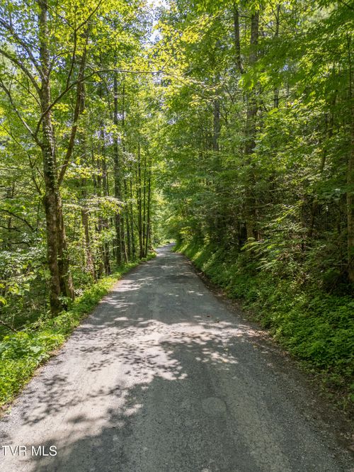 0000 Old 15th Rd, Del Rio, TN, 37727 | Card Image