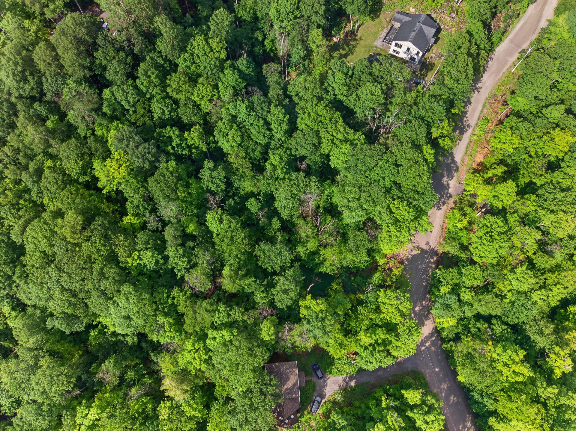 Land in Cantley 5