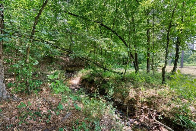 152 Anderson Loop, House other with 3 bedrooms, 2 bathrooms and null parking in Amity AR | Image 38