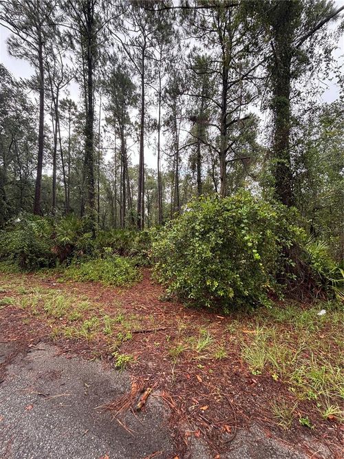 TBD Sequoia Drive Trl, Ocklawaha, FL, 32179 | Card Image