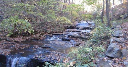 232 Andes Rdg, Ellijay, GA, 30536 | Card Image